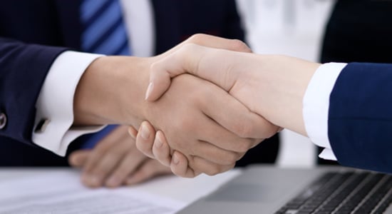 Security Consulting