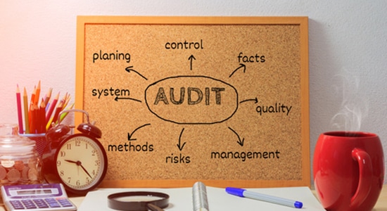 Security Audit