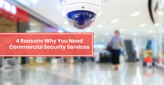 commercial security service in a mall