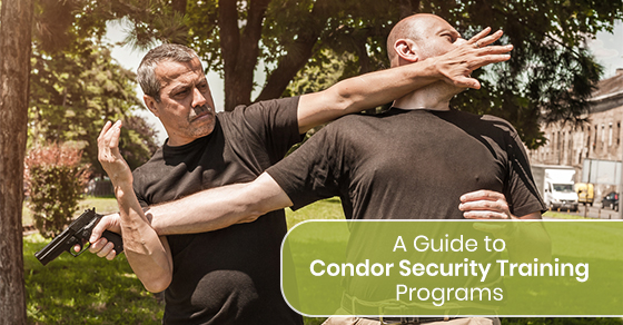 Security Training Programs